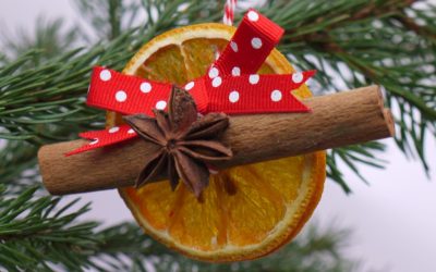 ADVENTNE DELAVNICE
